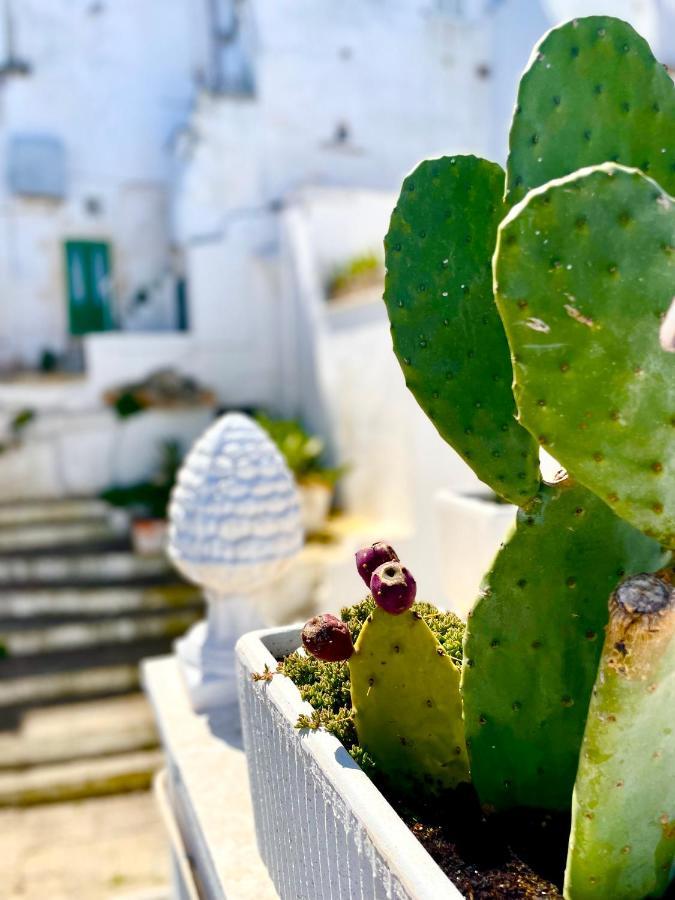 Belle Home Ostuni Vasca Vista Mare ภายนอก รูปภาพ